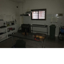 Imagen 12 producto 3778